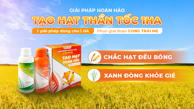 Ảnh mặc định